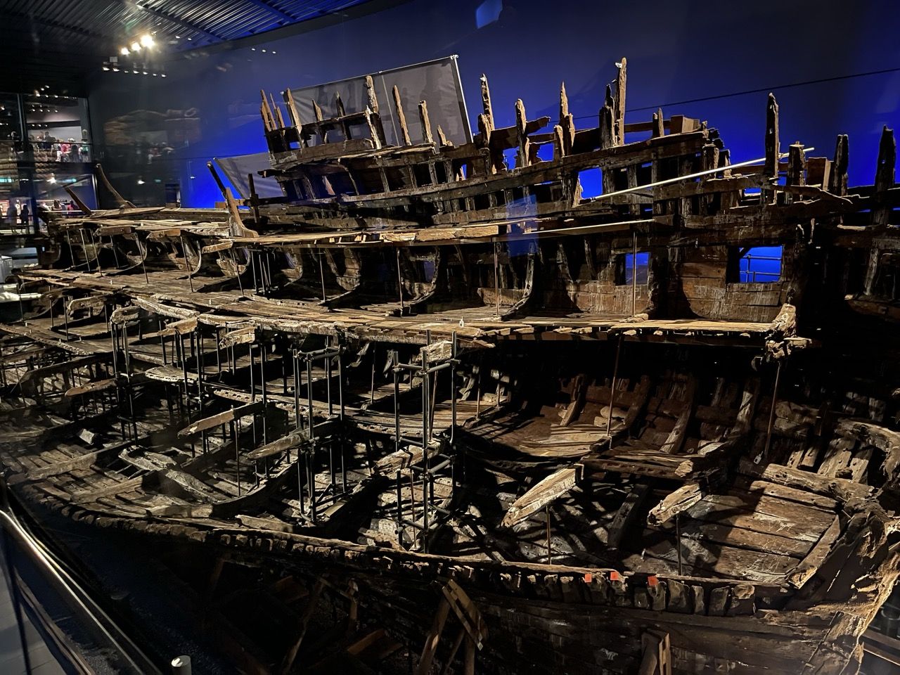 The Mary Rose